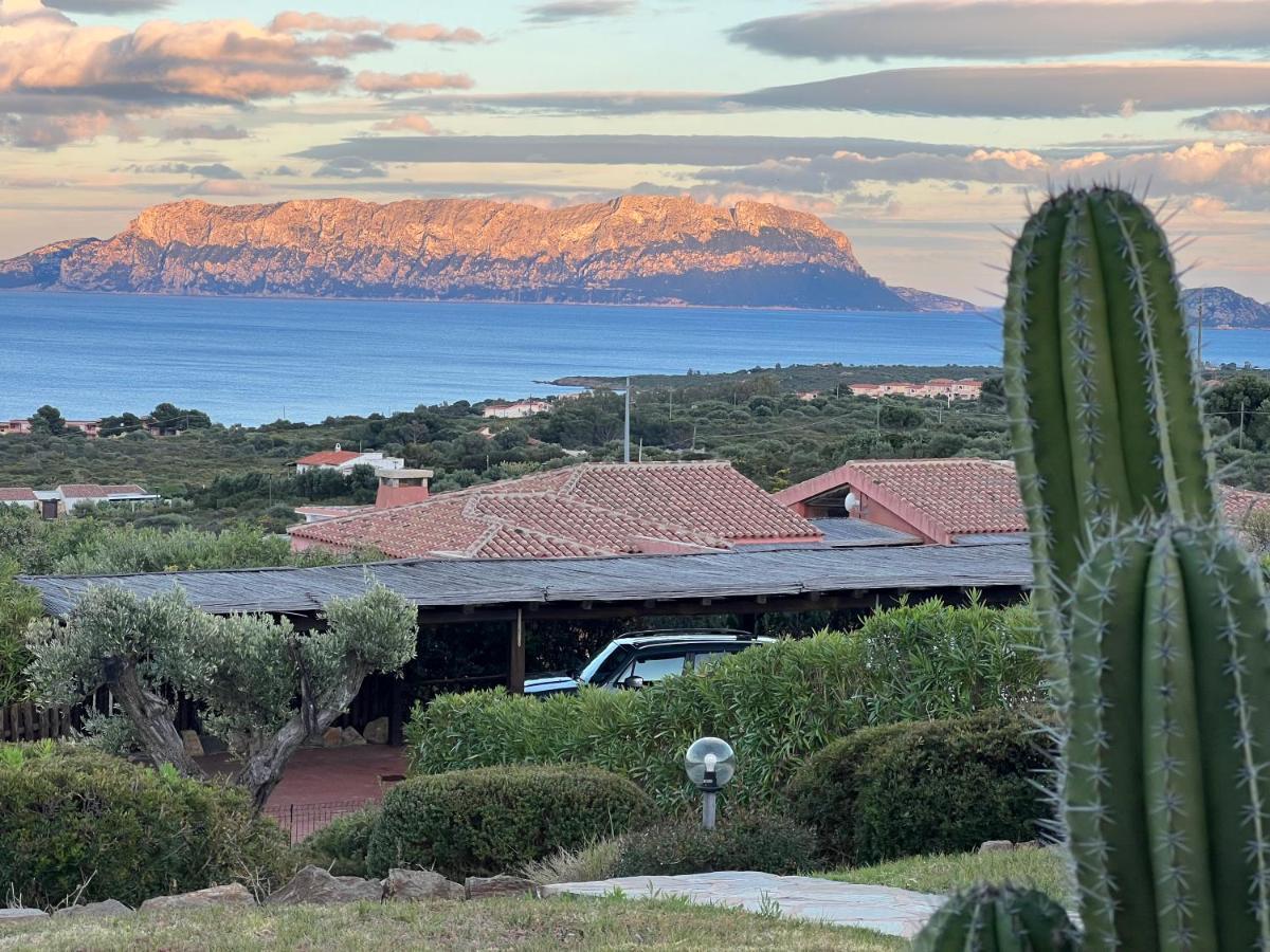 Villa A Golfo Aranci Con Vista Su Tavolara Маринела Екстериор снимка